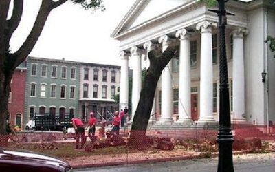 The Majestic Courthouse Maples – Bellefonte, PA