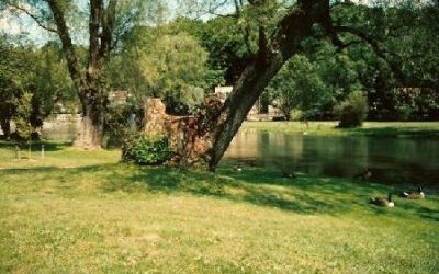 White Willows – Talleyrand Park, Bellefonte, PA